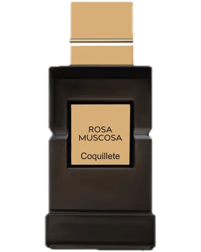 Rosa Muscosa - Coquillete Paris