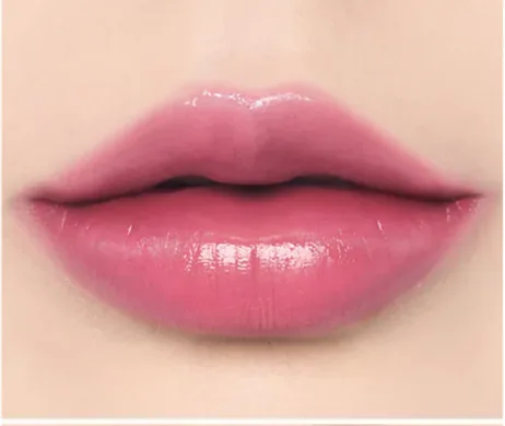 BRAYE Lip Sleek – кремовий бальзам для губ 06 Plucky