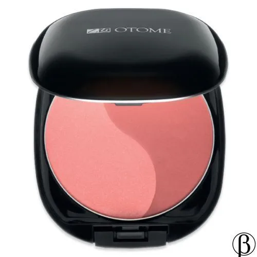 Duo Color Power Blush | Рум'яна Два кольори OTOME