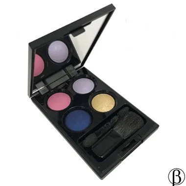Eyeshadow Set (4 pieces + box) | набір тіней для повік WAMILES