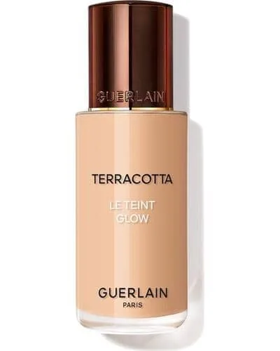 Terracotta Le Teint