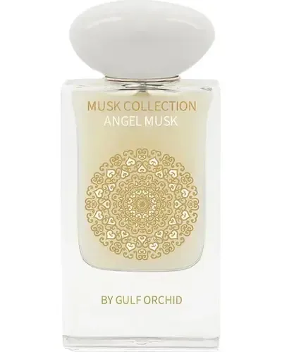 Angel Musk - Gulf Orchid