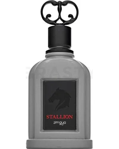 Stallion - Zimaya