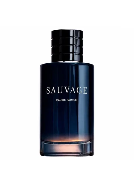Парфумована вода для чоловіків Sauvage туалетна вода 100 мл No Brand (366734818)