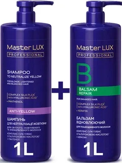 Шампунь для нейтралізації жовтизни Master Lux з синім, фіолетовим пігментом проти антижовтизна для освітленого волосся 1000 мл з дозатором Майстер люкс + Бальзам