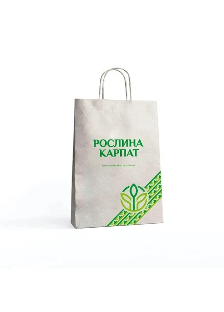 Подарунковий крафт-пакет з ручками, 27×19×11 см Рослина Карпат (339042467)