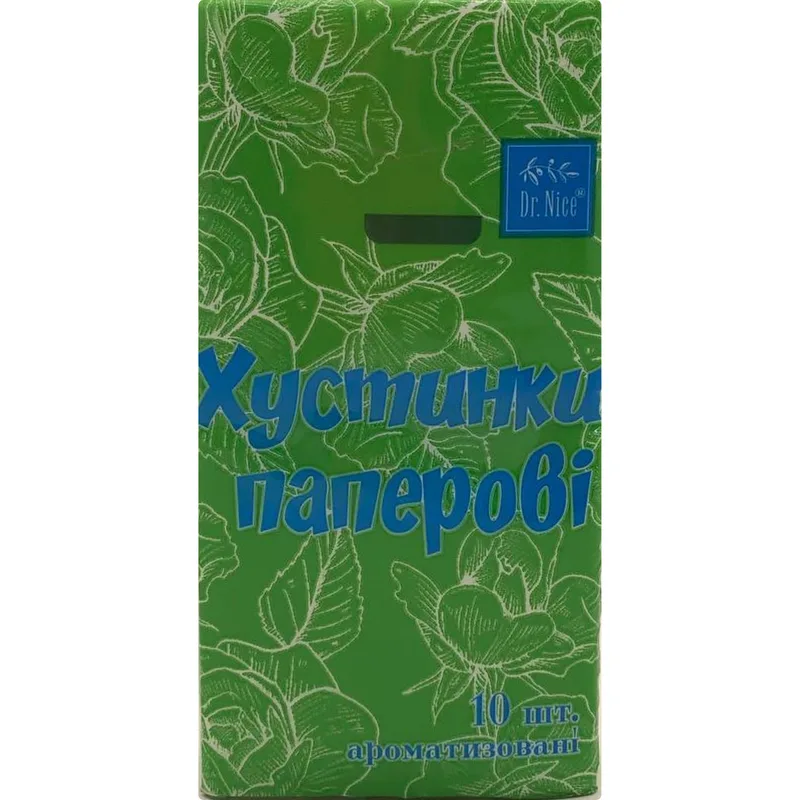 Хусточки паперові DR.NICE (Доктор Найс) з ароматом алое 10 шт