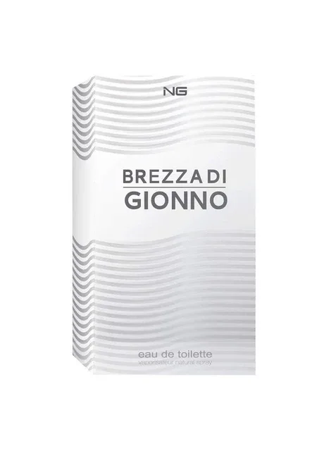 Туалетна вода Brezza Di Giorno for men 100 мл (8719214750602) NG Perfumes (387850141)