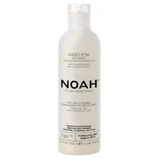 NOAH Hair Маска для нейтралізації жовтого тону з чорницею 250мл