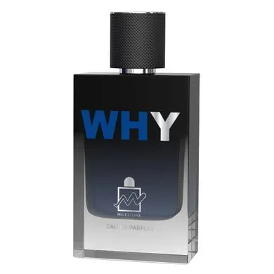 Парфумована вода чоловіча Why - 100 мл Milestone (304611179)