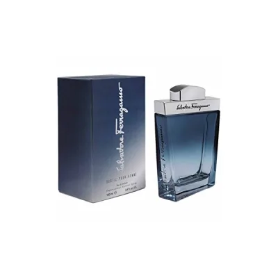 Salvatore Ferragamo Subtil Pour Homme