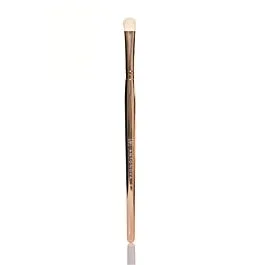 Witch Brush - 4E