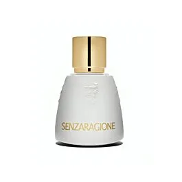 Senzaragione