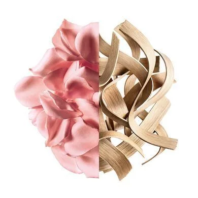 GIVENCHY Irresistible Rose Velvet парфумована вода для жінок
