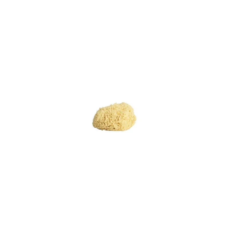Sevin London Gold Honeycomb Sponge Натуральна морська губка для обличчя