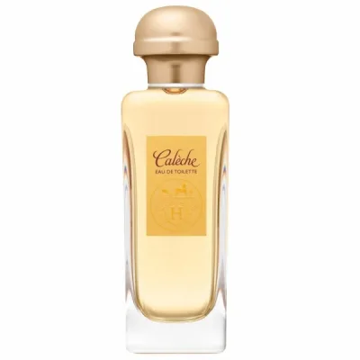 Hermes Caleche