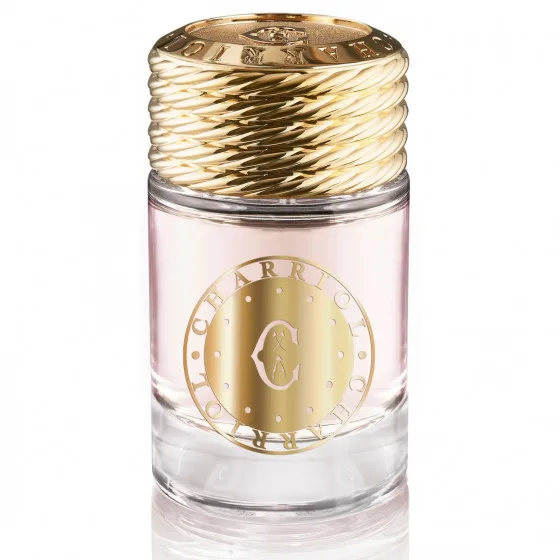 Туалетна вода Charriol Infinite Celtic Pour Homme