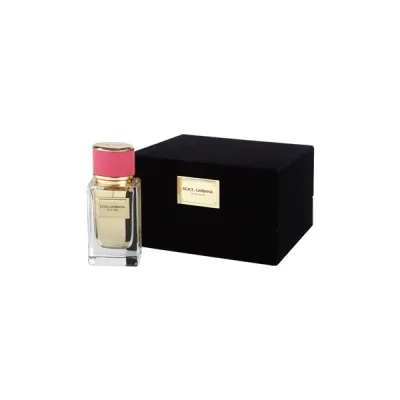 Dolce & Gabbana Velvet Rose