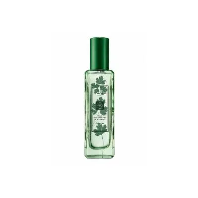 Jo Malone Wild Strawberry & Parsley
