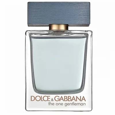 Dolce & Gabbana The One Gentleman