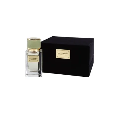 Dolce & Gabbana Velvet Bergamot