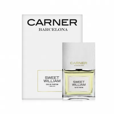 Carner Barcelona Sweet William
