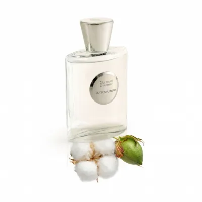 Giardino Benessere Cotton Flower