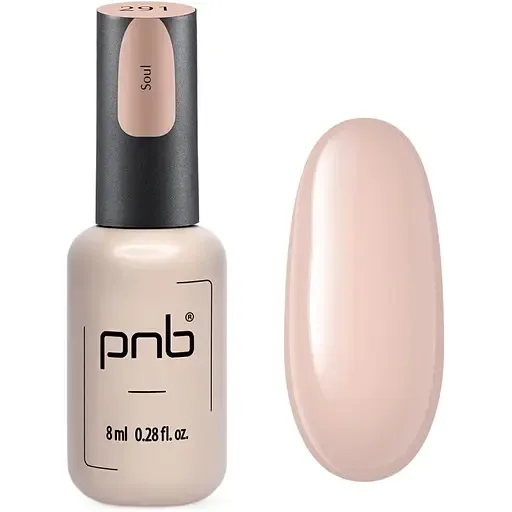 Гель-лак PNB 291 8 мл
