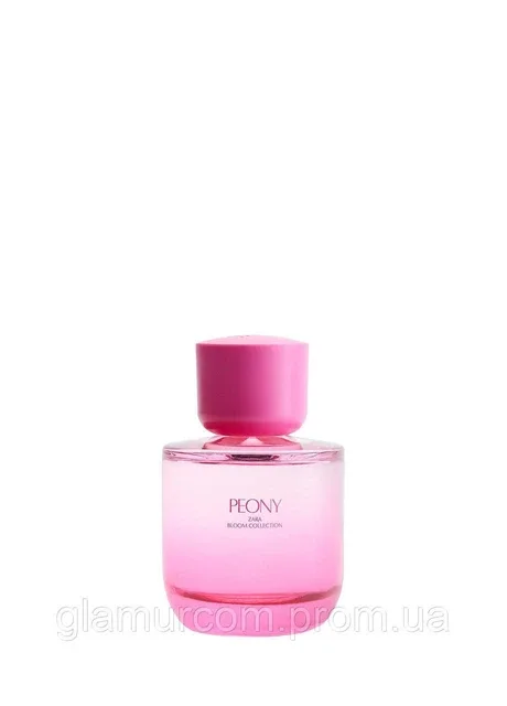 Парфумована вода Peony об'ємом 90 мл Zara (387092370)